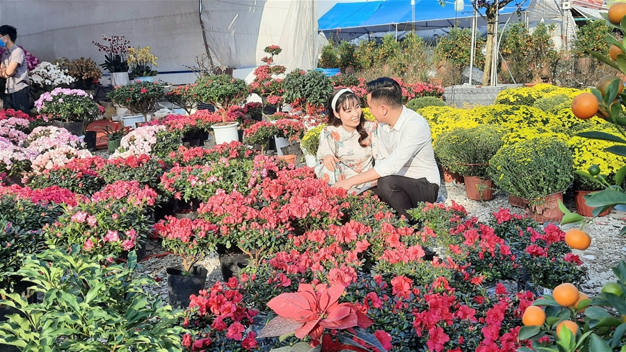 TP Chí Linh tổ chức chợ hoa Xuân năm 2023 tại Quảng trường Sao Đỏ 